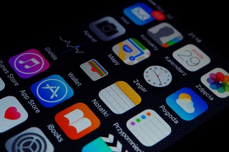 qual a diferença entre software programa e aplicativo